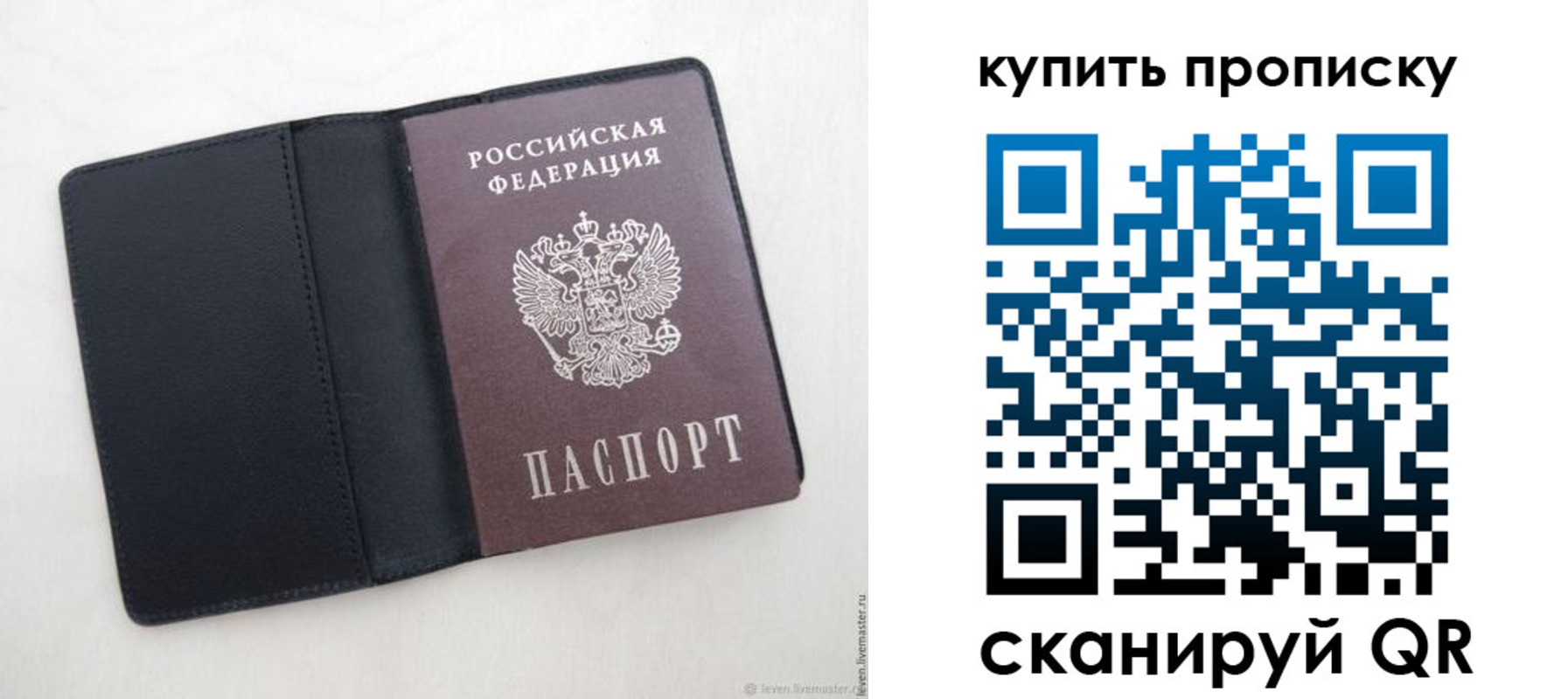 прописка поиск в Нелидово